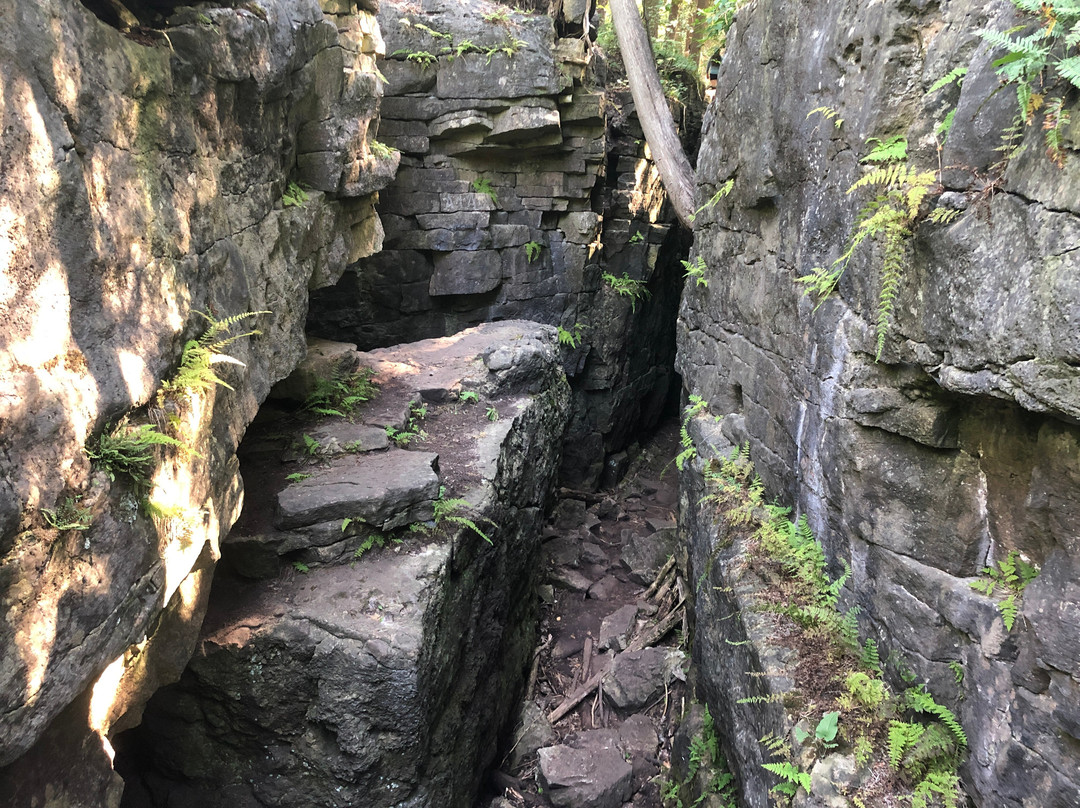 Limehouse Conservation Area-霍尔藤山市必去景点