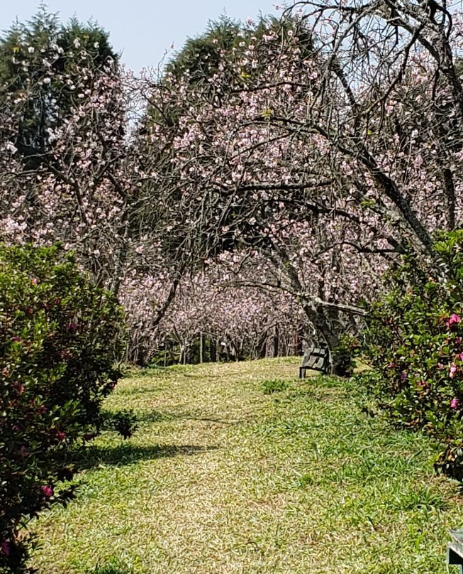 Parque do Carmo-圣保罗必去景点