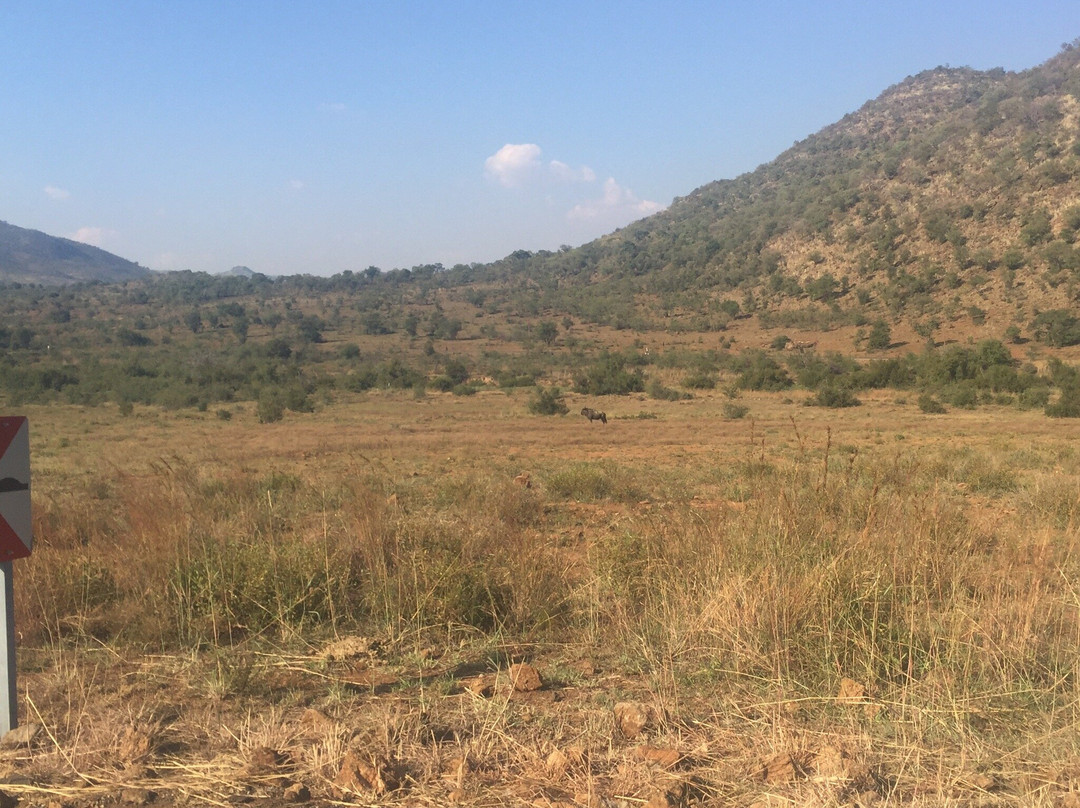 Wonderboom Nature Reserve-比勒陀利亚必去景点
