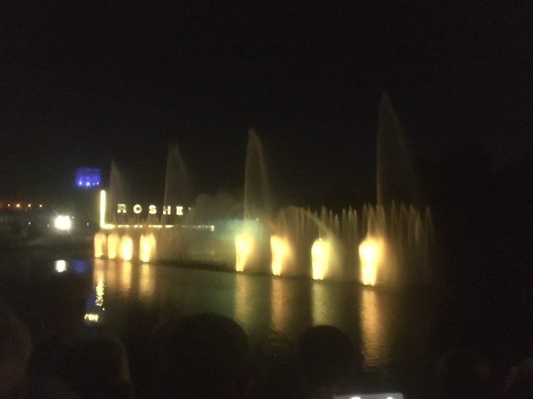 Multimedia Fountain Roshen-Vinnytsia必去景点
