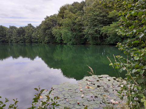 Rensinger See-Kellinghusen必去景点