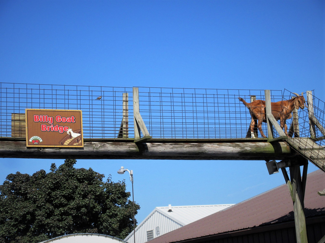 Tanners Orchard-Speer必去景点