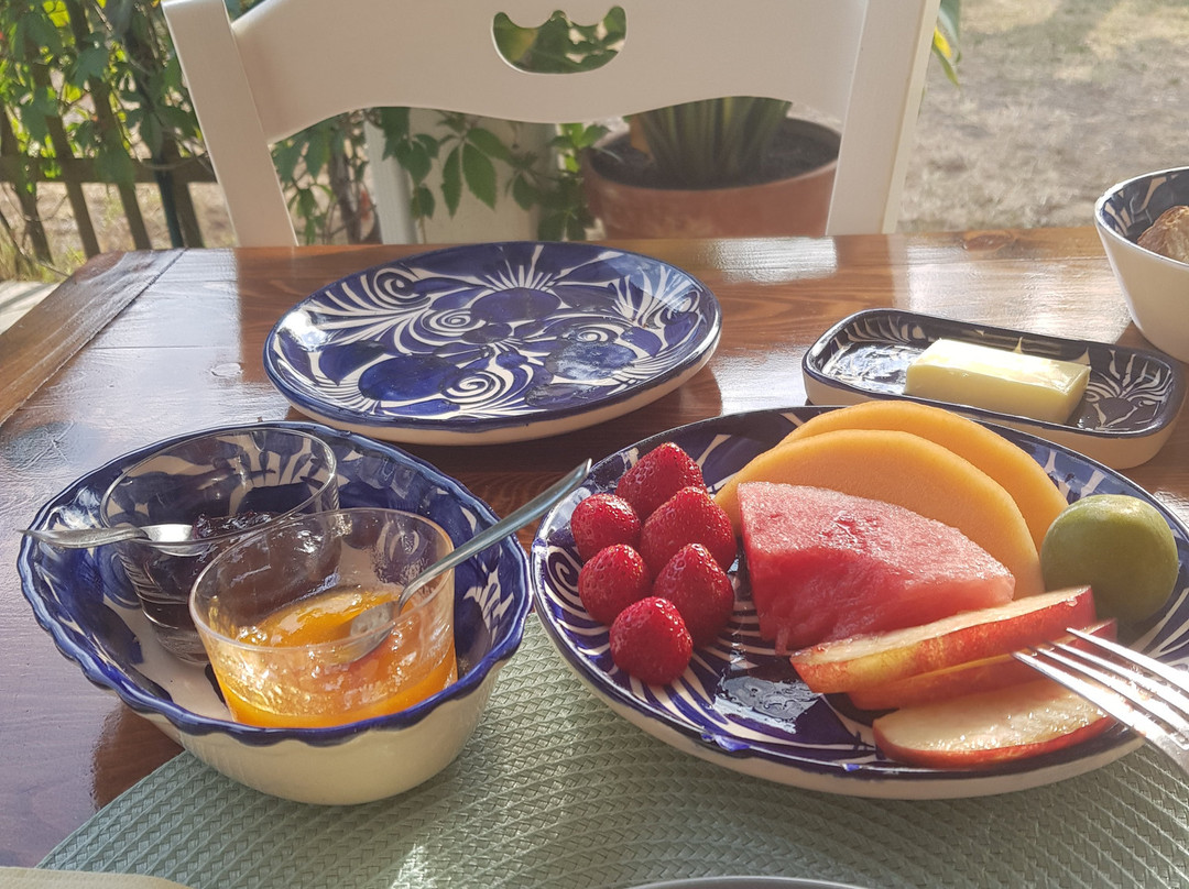 Les Arums de Sanguinet主图