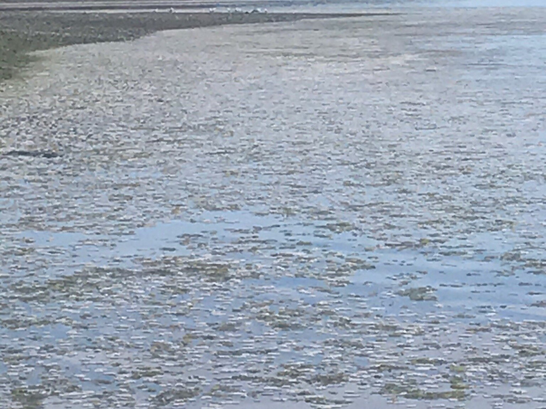 Indian Island County Park景点图片