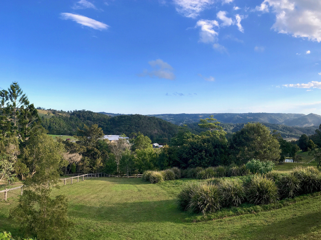 Blue Summit Cottages主图