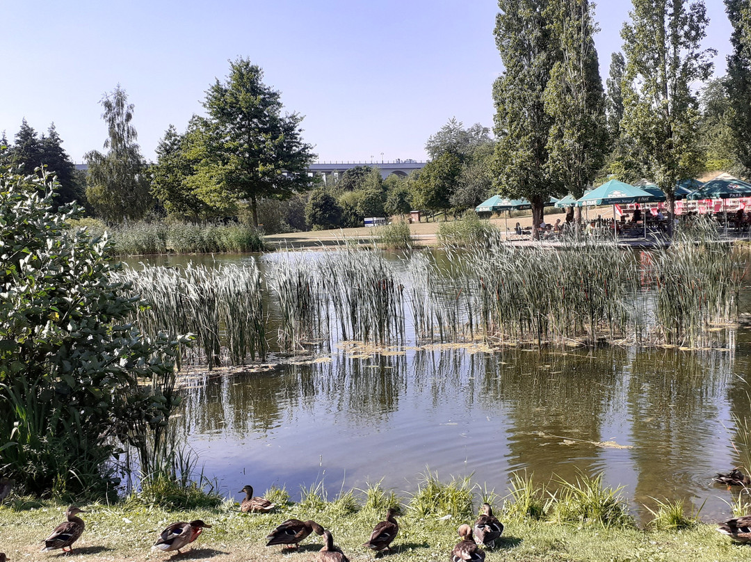 Strecktal Park景点图片