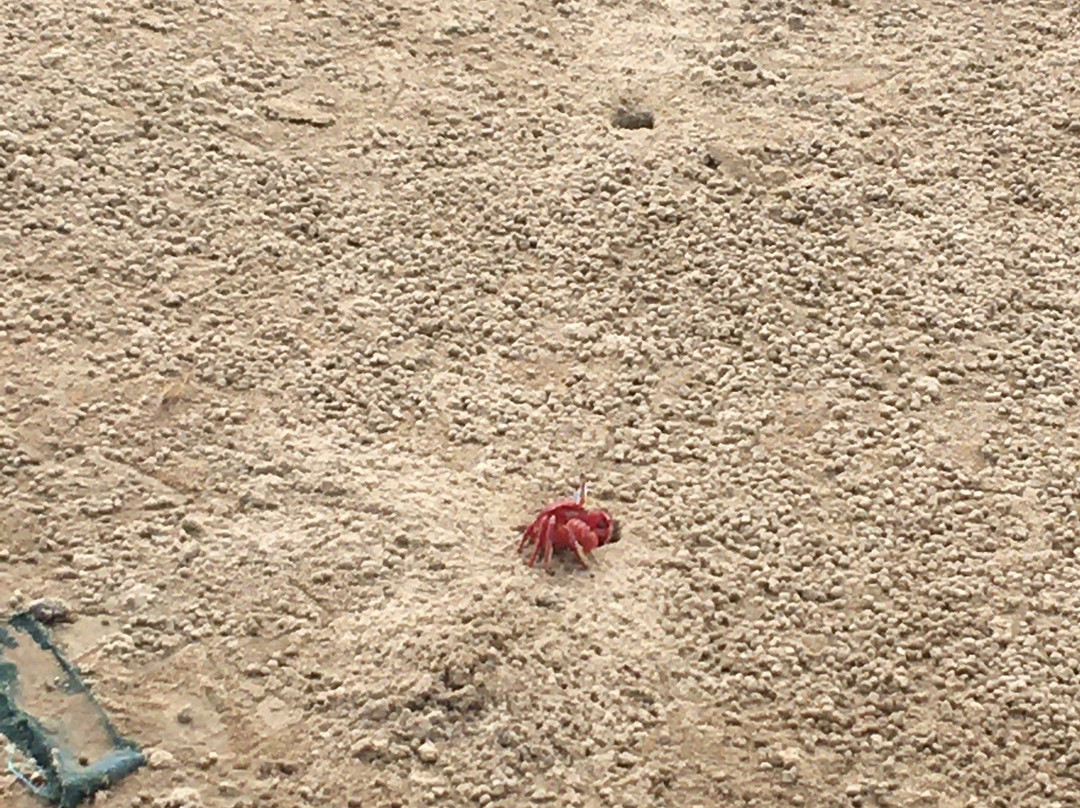 Kasafal Sea Beach景点图片