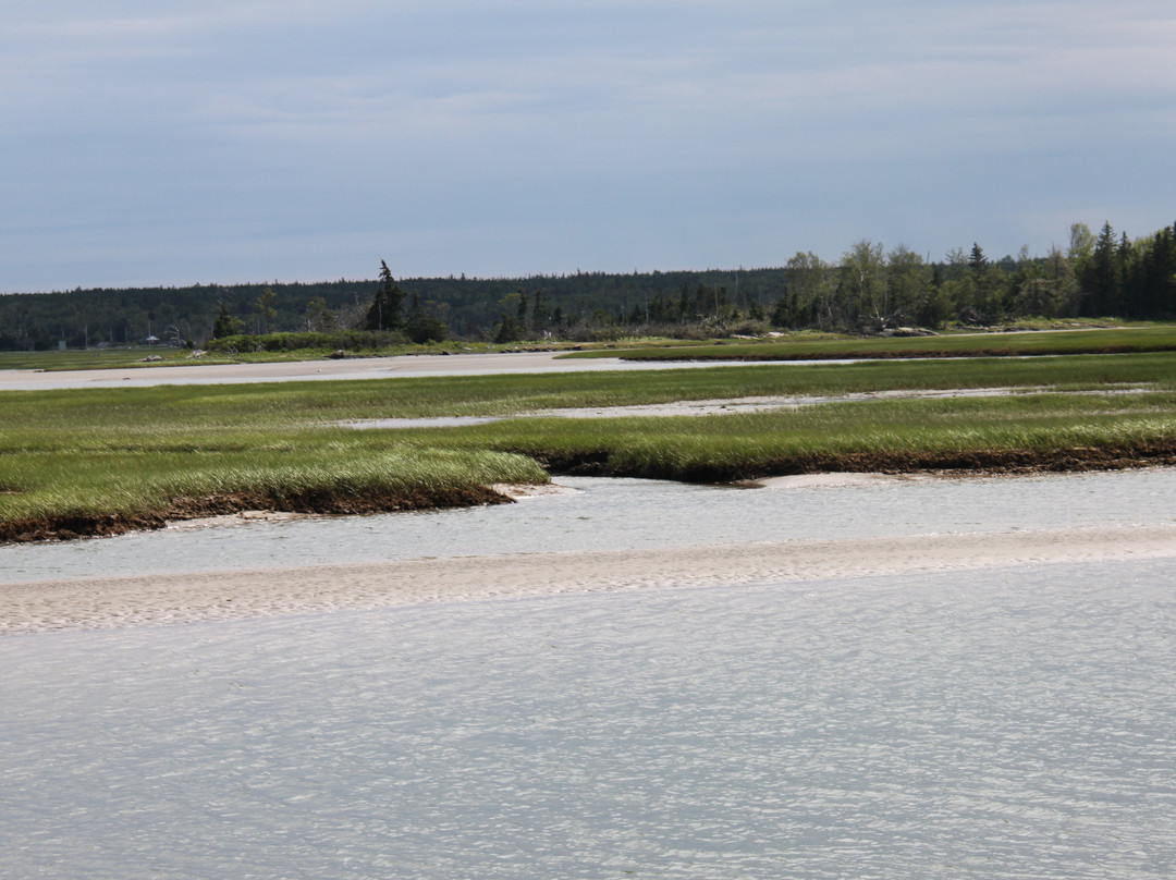 Salt Marsh Trail-Cole Harbour必去景点
