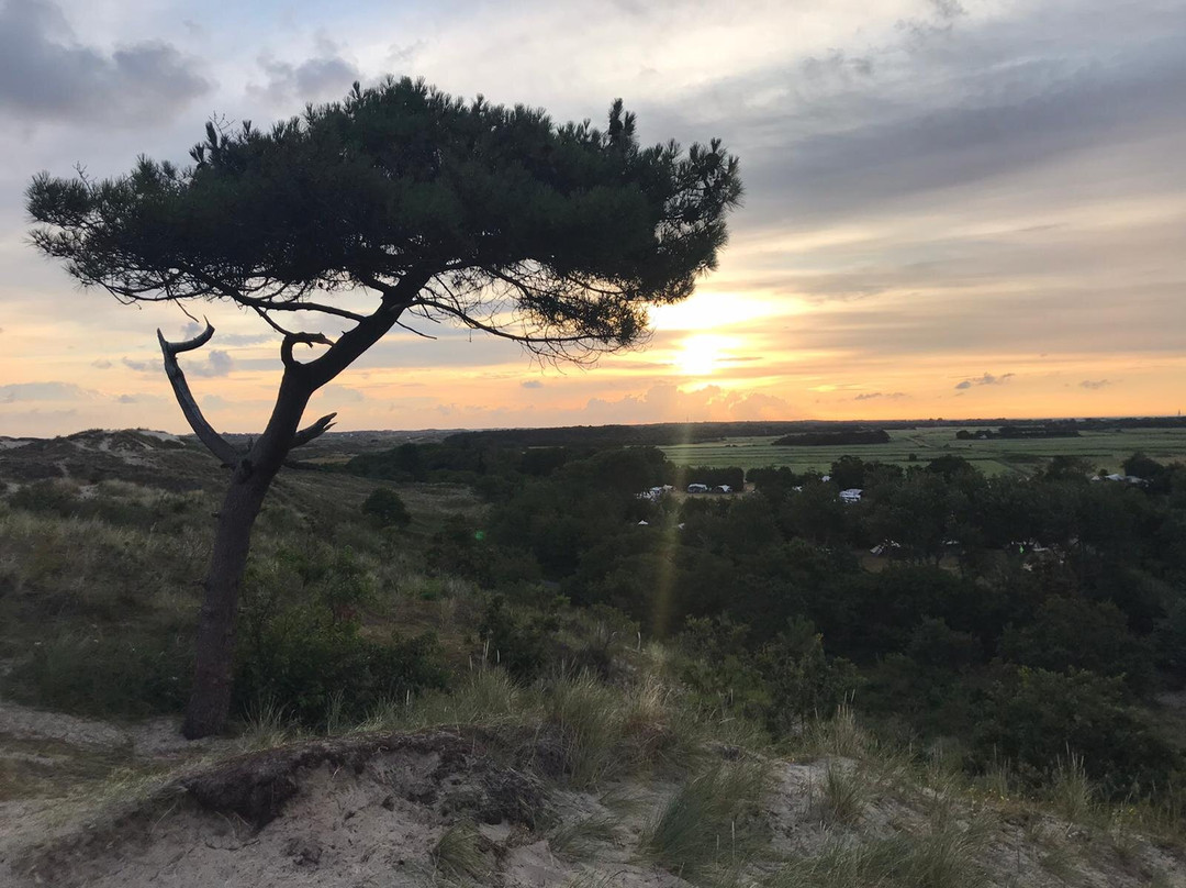Zeelen Fietsverhuur Vlieland-弗利兰岛必去景点