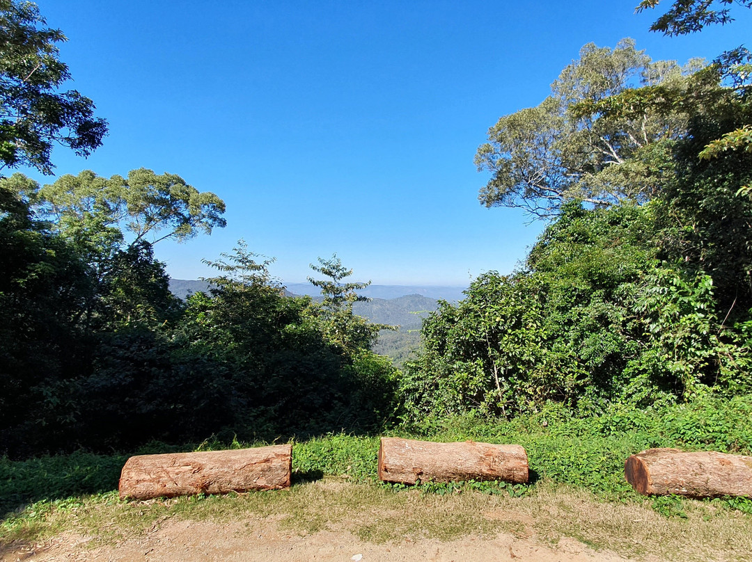 McClellands Lookout-Paluma必去景点