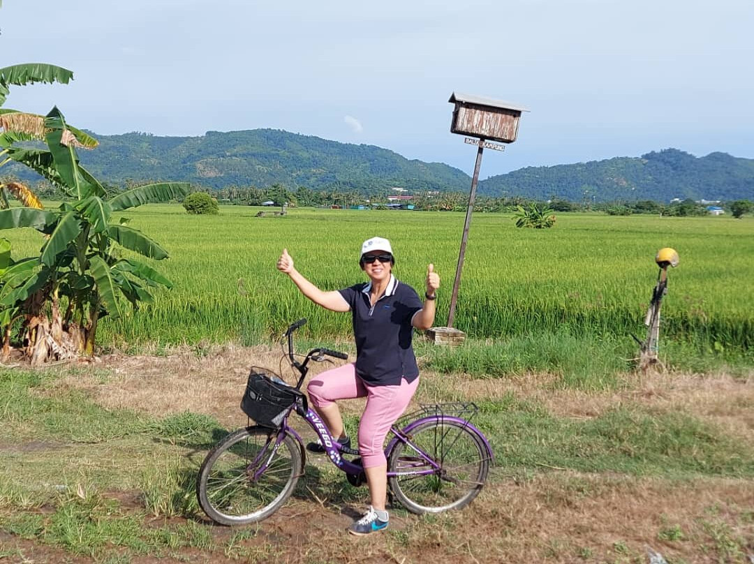 Cycling Balik Pulau景点图片