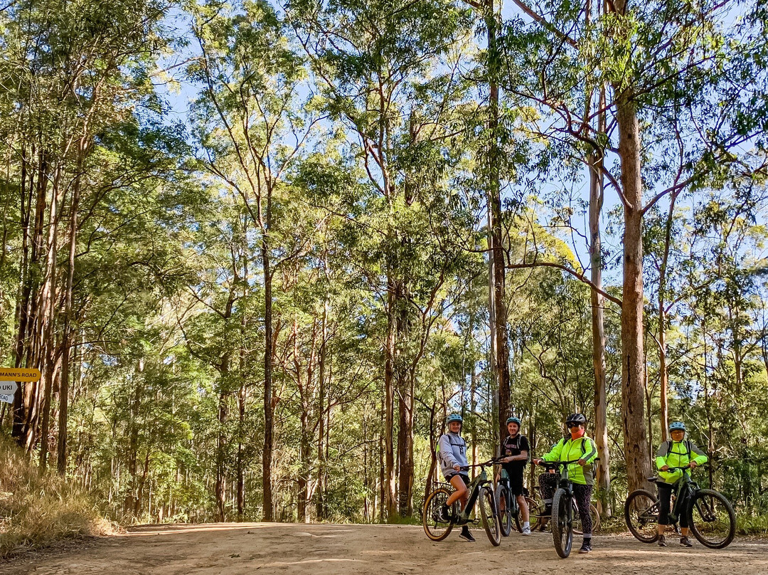 Beyond Byron E Bike Tours - Byron Bay景点图片