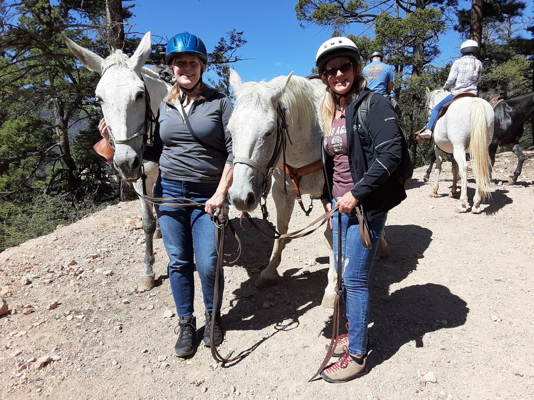 Red River Stables-红河必去景点