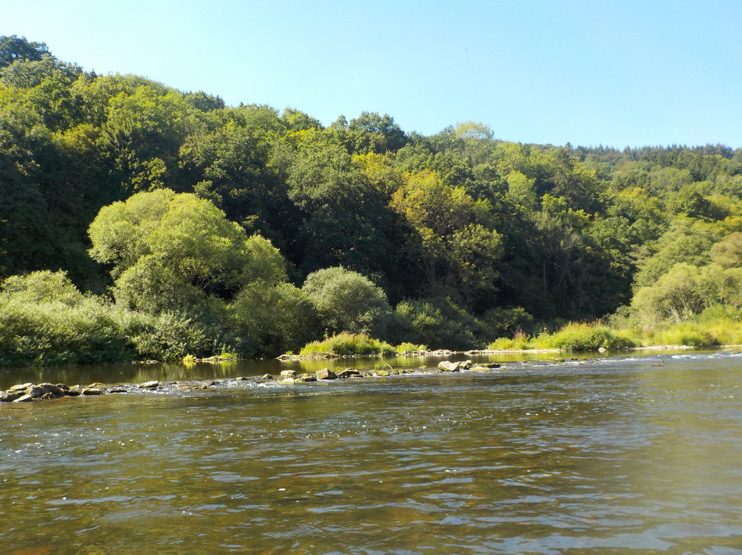 Ronn's Bikes and Kayaks-Wallendorf Pont必去景点