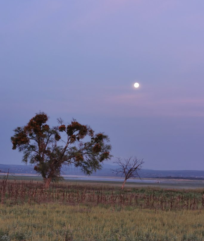 Mesa Verde By Rotamundos主图