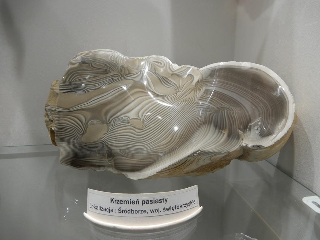 Museum of Minerals and Fossils-Swieta Katarzyna必去景点