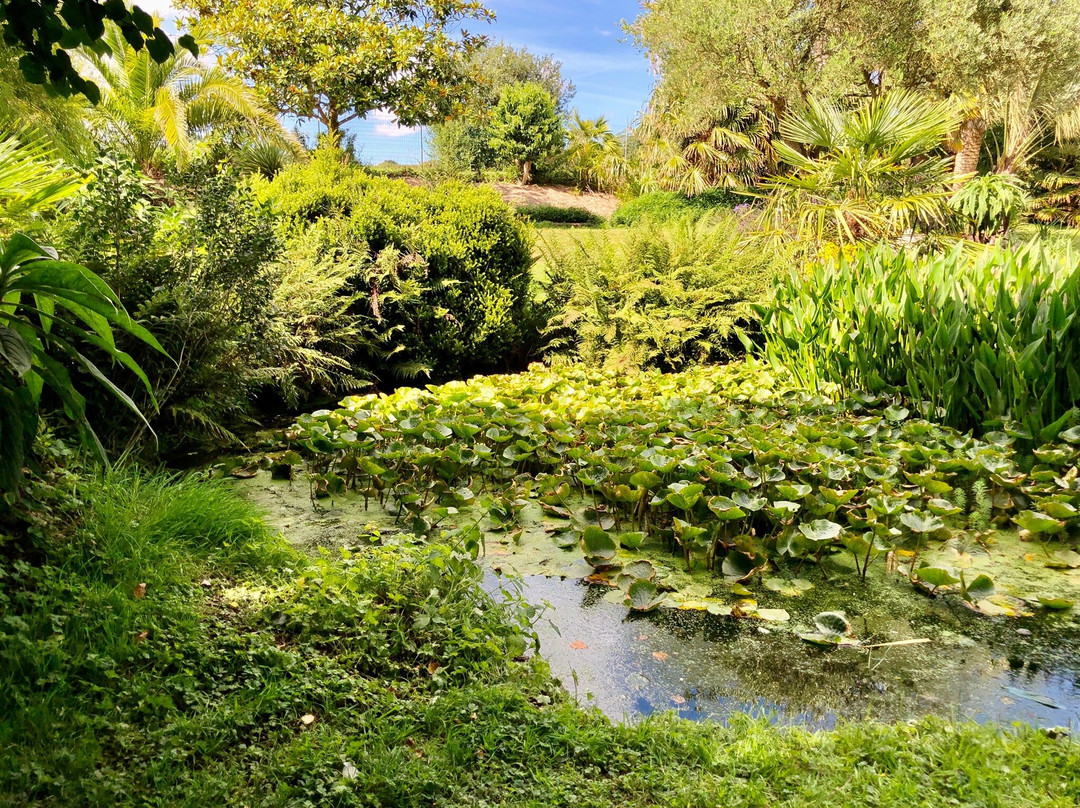Jardin Exotique de Saint Renan景点图片