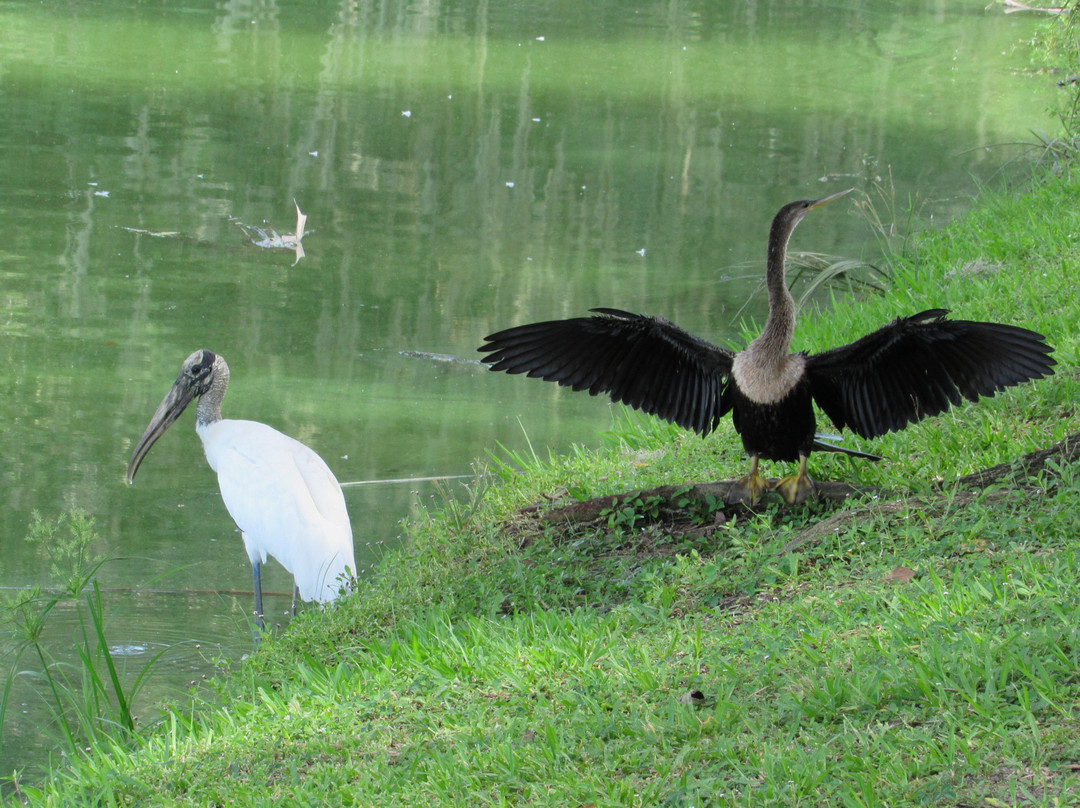 Tuscawilla Park-奥卡拉必去景点