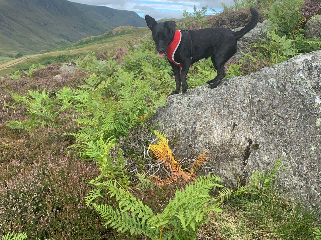 Loch Brandy-Glen Clova必去景点