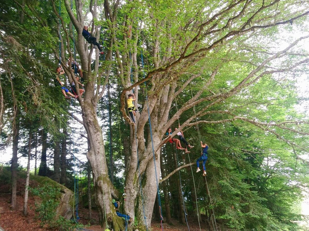 Association Chioula Activités Nature-Ignaux必去景点