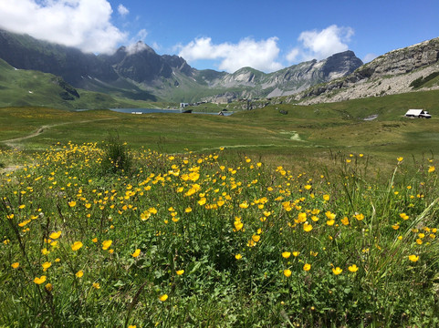 Melchsee Frutt Zentralschweiz-Melchsee-Frutt必去景点