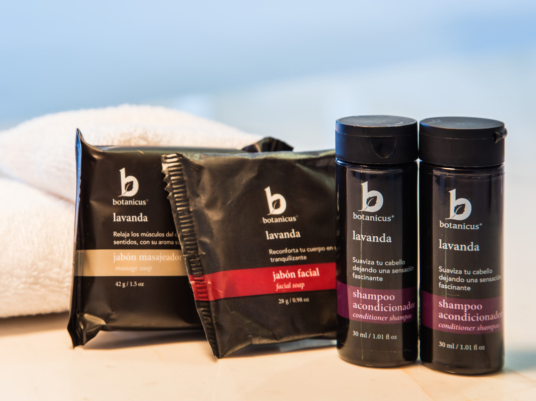 Fiesta Inn Veracruz Malecon主图