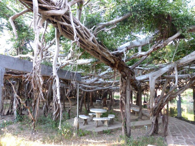 Sai Ngam景点图片