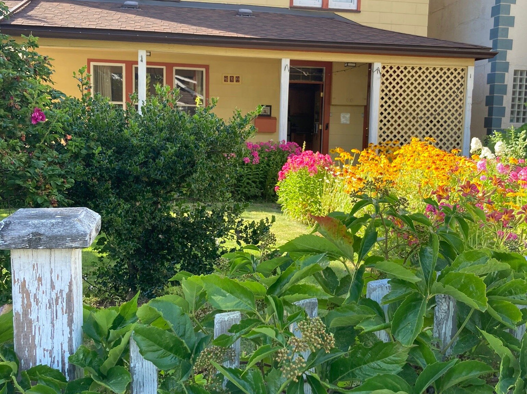 Victoria Falls Guesthouse主图