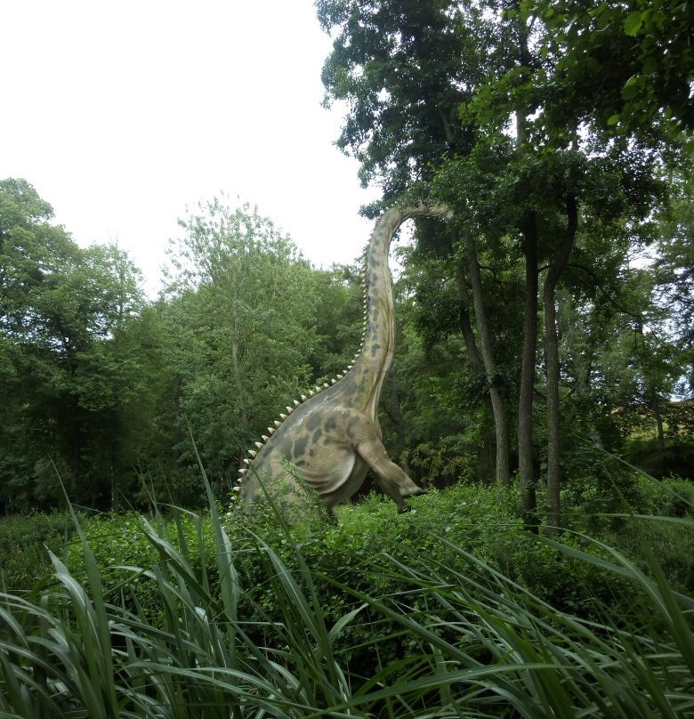 Park Ewolucji-Slawatowko必去景点