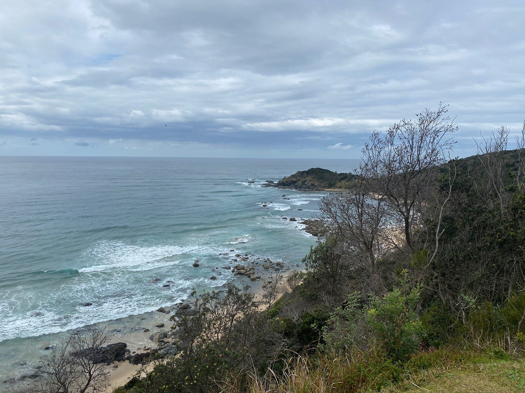 Shelly Beach-麦克夸利港必去景点