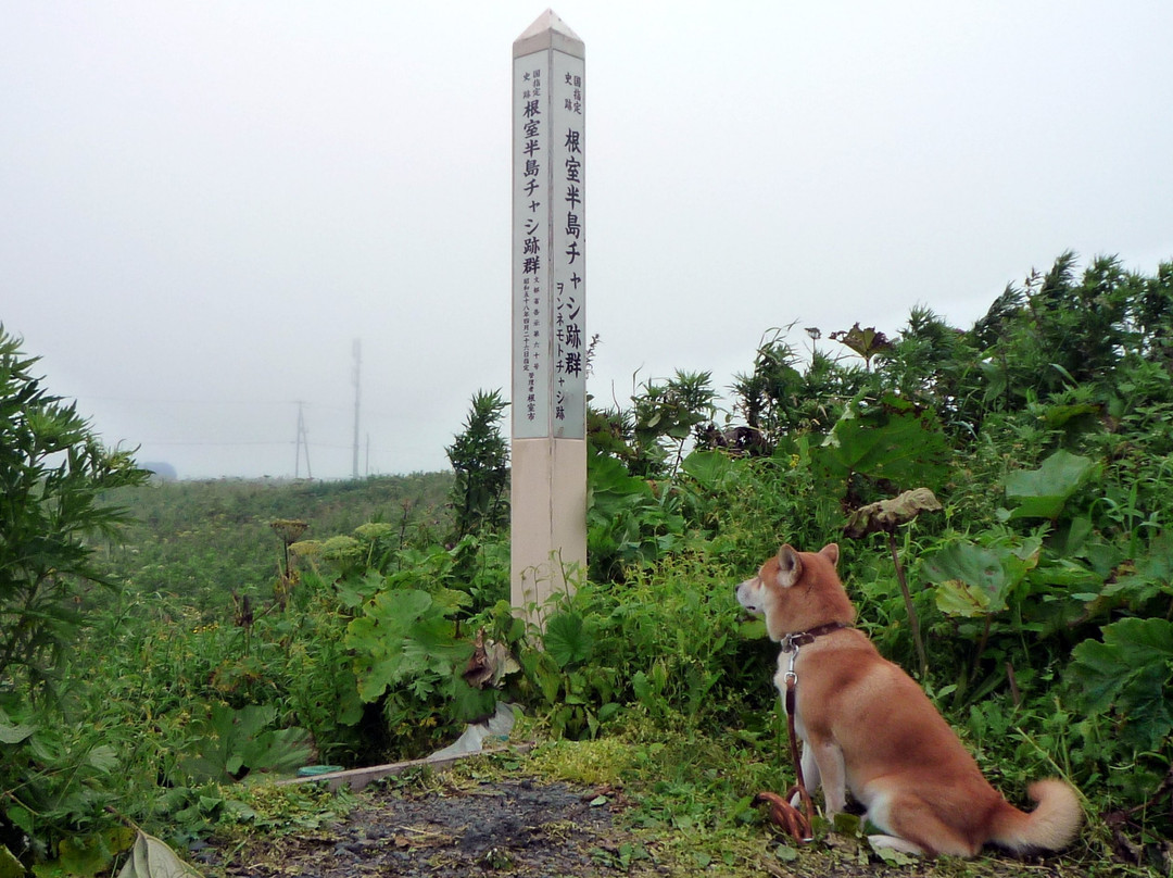 Onnemotochashi Old Castle Site-根室市必去景点