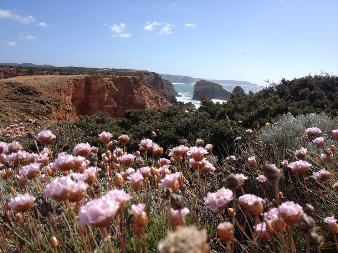 Pensao das Dunas主图