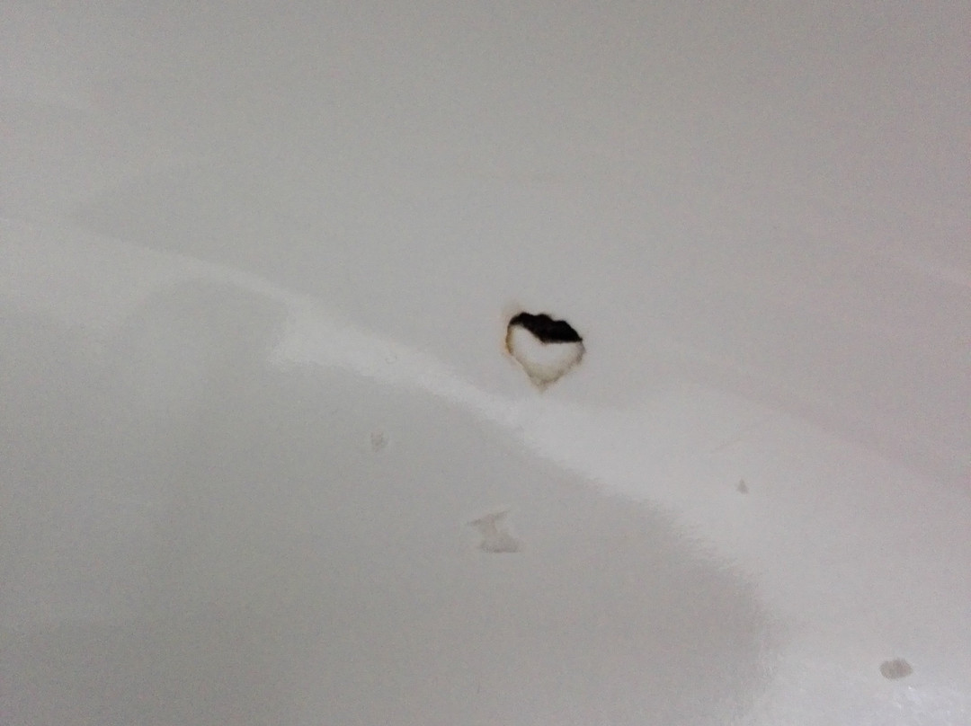 Hotel Schweizer Haus主图