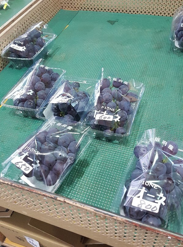 Chikatsu Asukanosato Michi-no-Eki-太子町必去景点