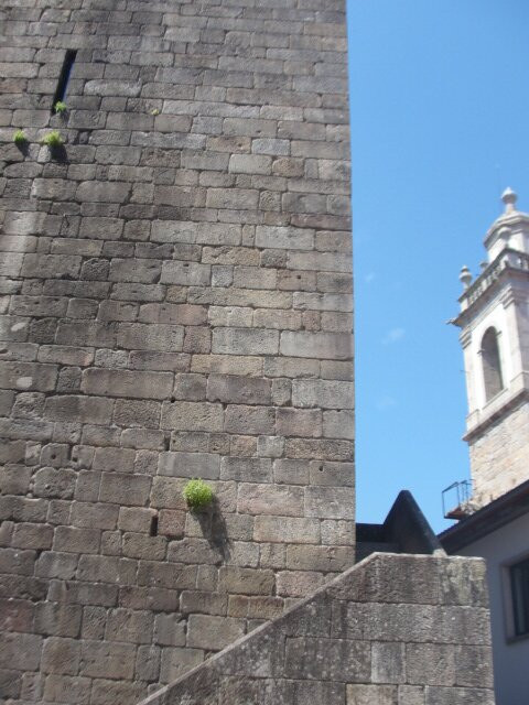 Torre de Menagem景点图片