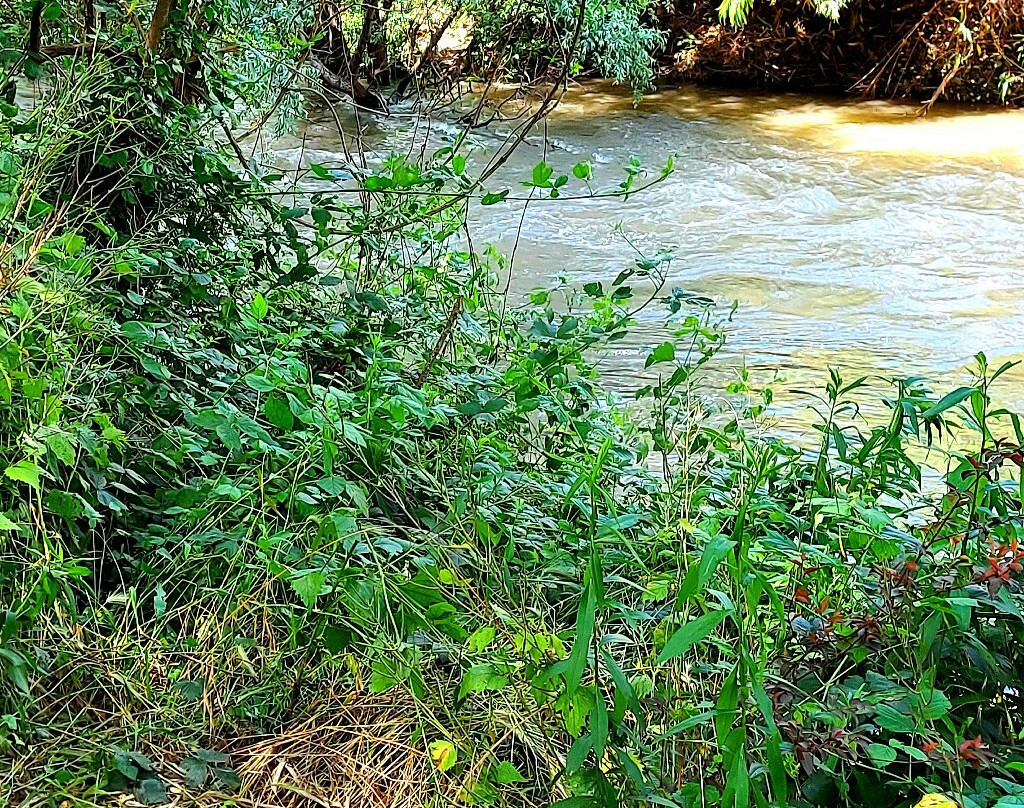 Parco Regionale Della Valle Del Lambro-Triuggio必去景点