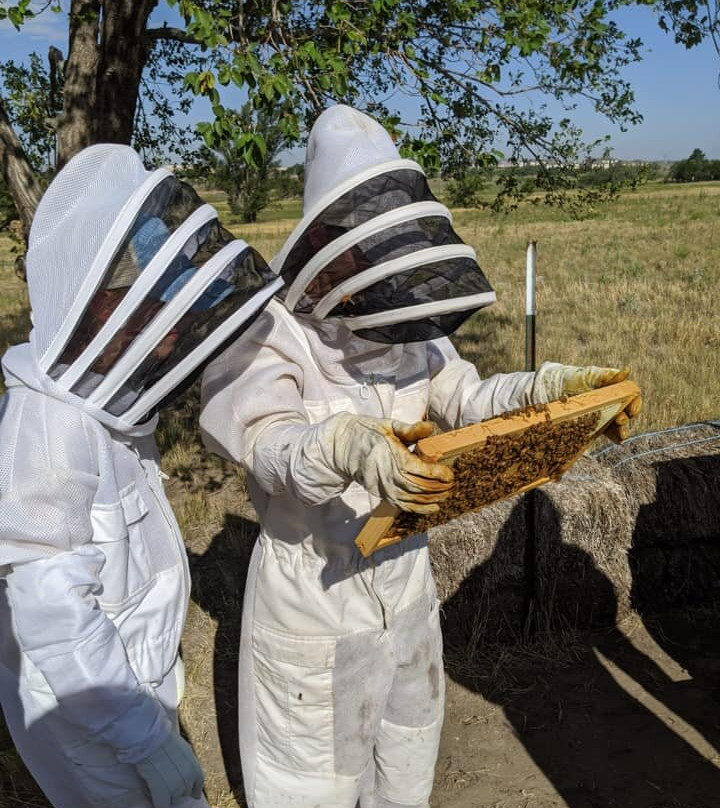 Creek House Honey Farm-Canyon必去景点