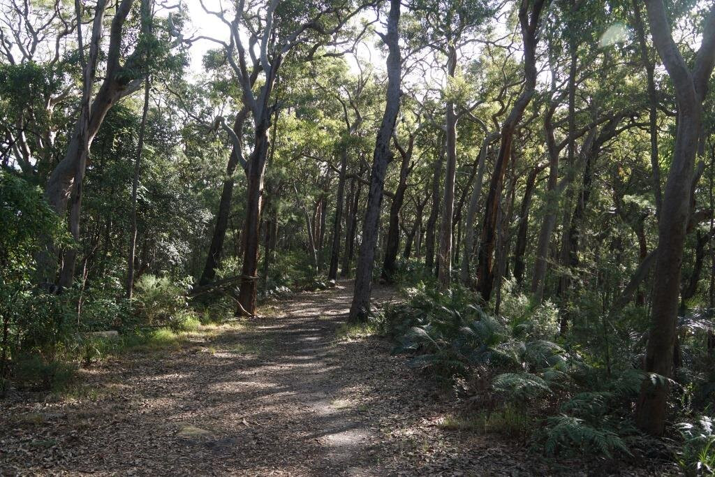 Bouddi National Park景点图片