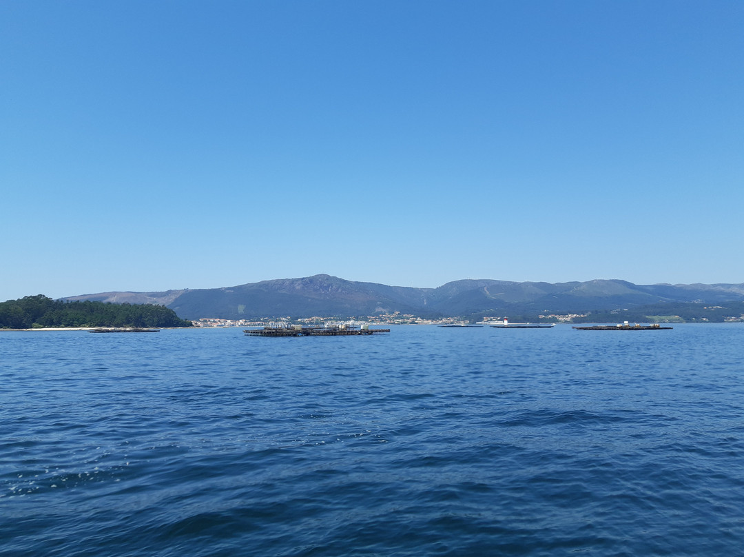 Oceanic Arousa Tours景点图片