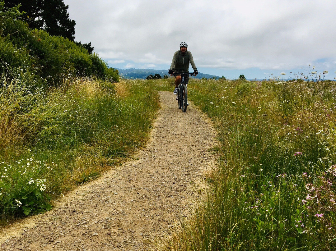 Arcata Marsh and Wildlife Sanctuary景点图片