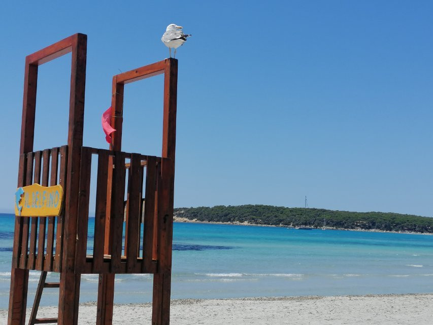 Il Delfino-Sant'Anna Arresi必去景点