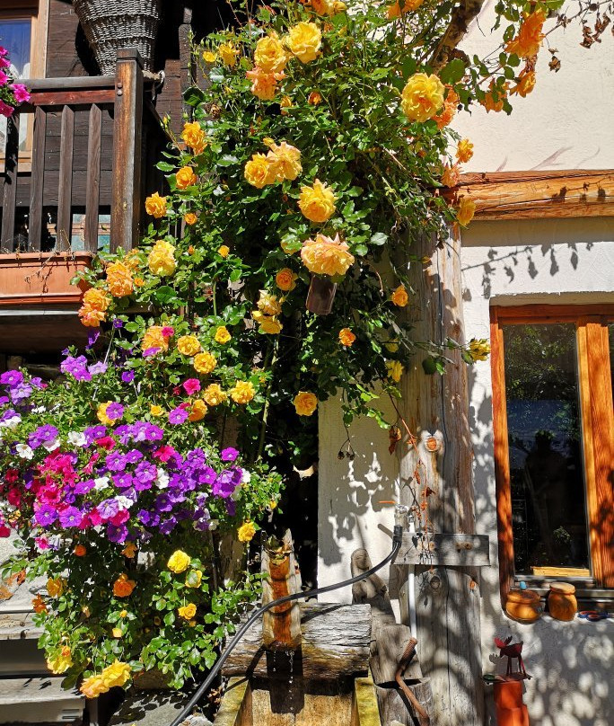 Maison Le Cler主图