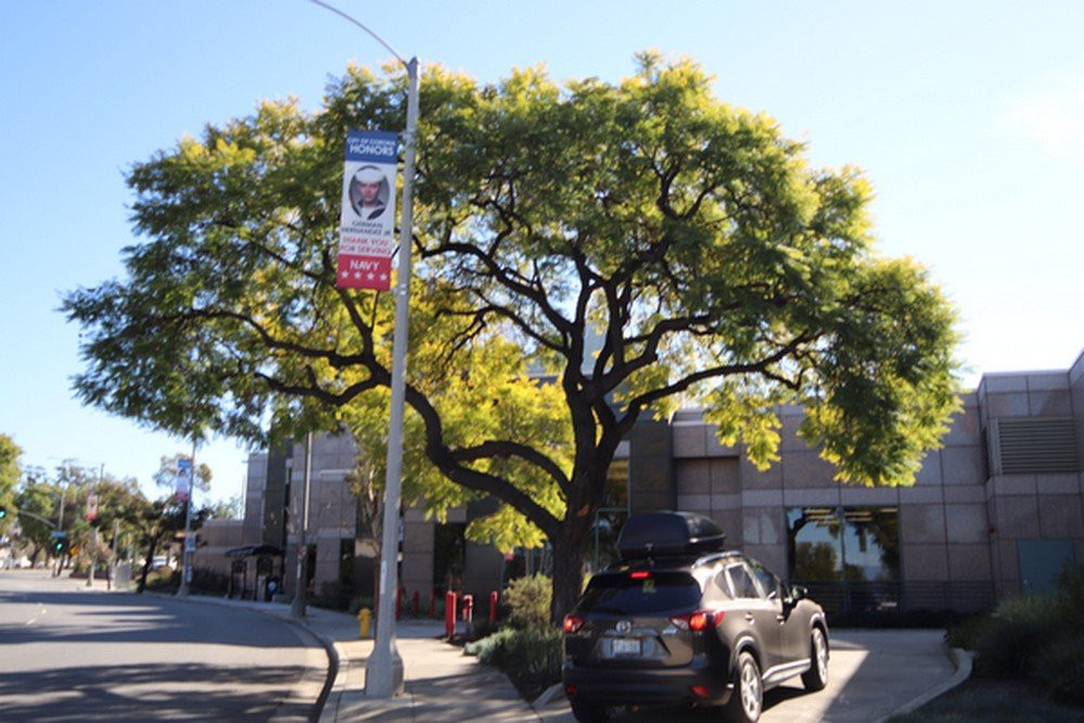 Corona Public Library-科罗纳必去景点