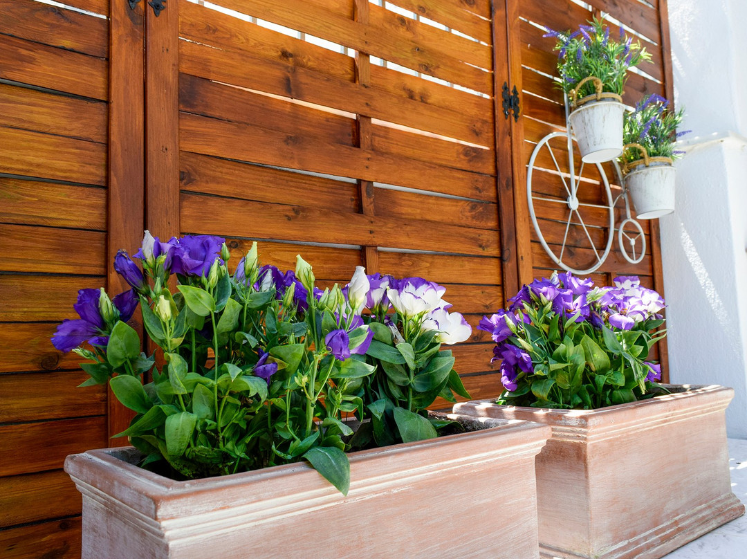 Pella Hotel - New主图