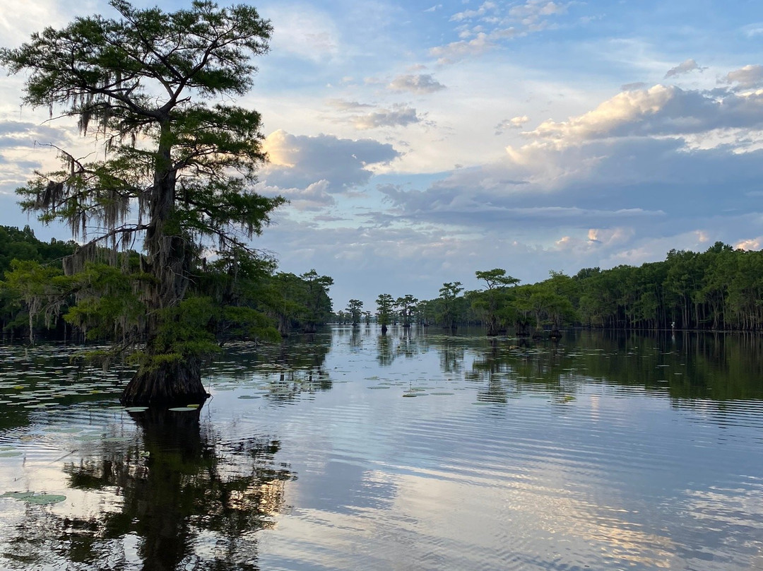 Shady Glade Resort主图