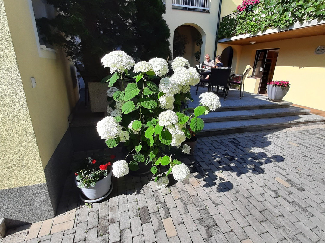 Pension Peterhof主图