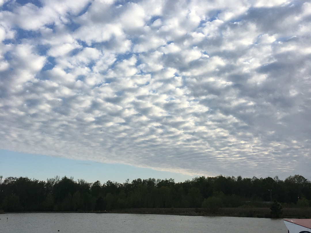 Swerve Watersports Center-Hillsboro必去景点