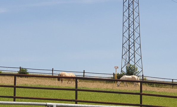 Comberg Park-Mettmann必去景点