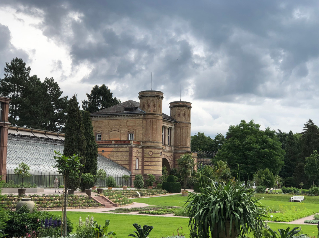 Botanischer Garten Karlsuhe景点图片