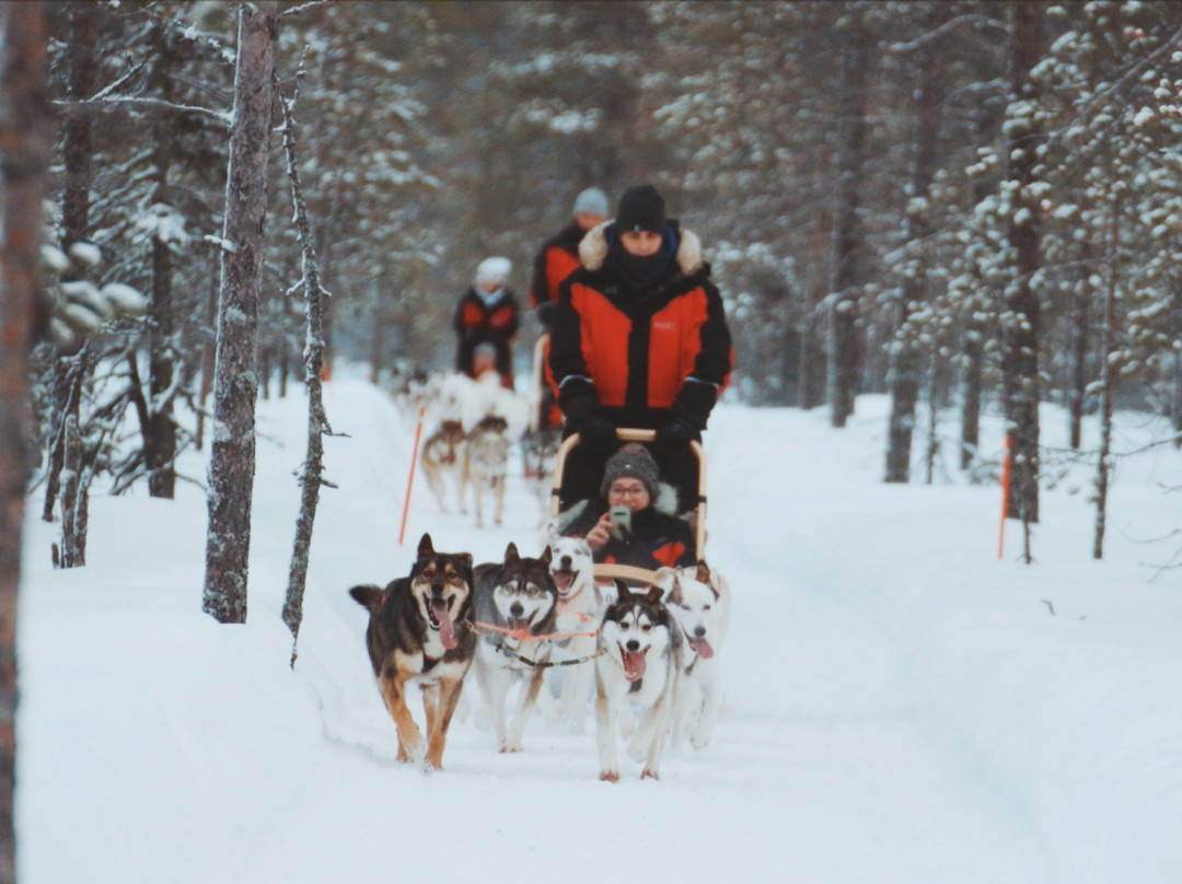 Era-Susi Huskies - Day Tours景点图片